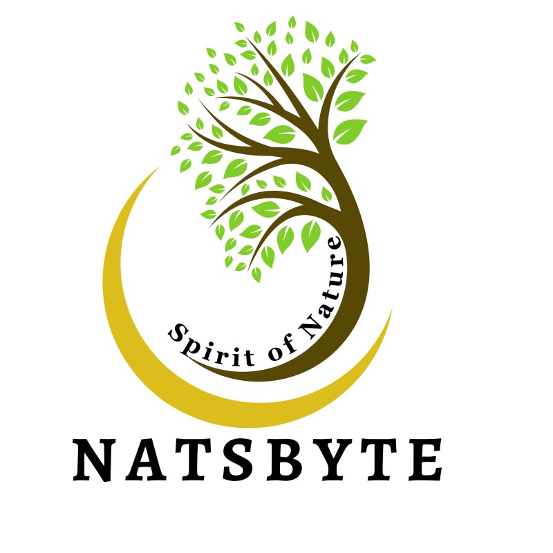 Natsbyte